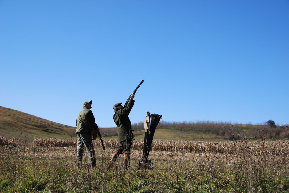 estate-hunting-in-hungary-flipped.jpg